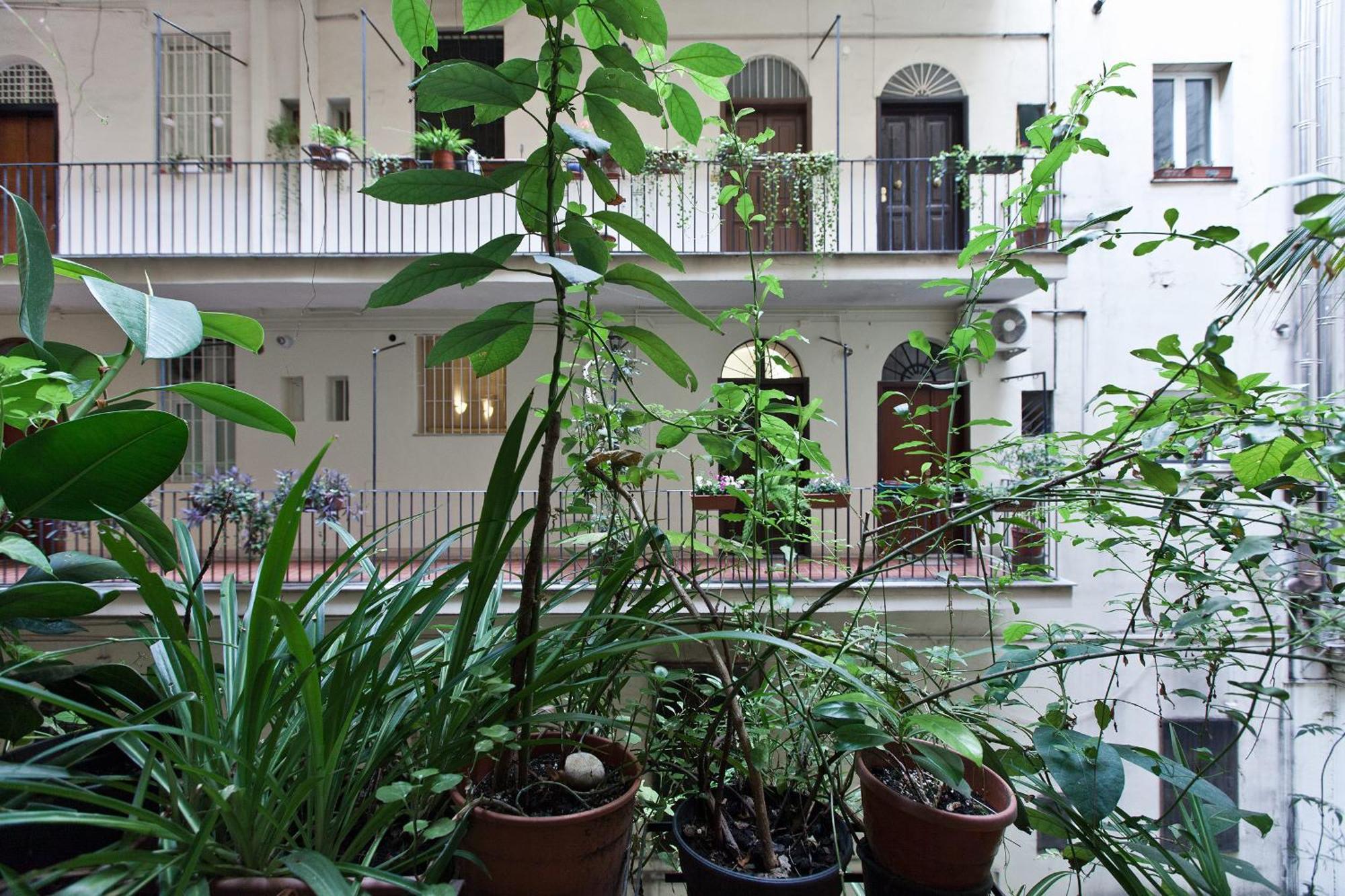 Gianicolo Holiday House Rome Bagian luar foto